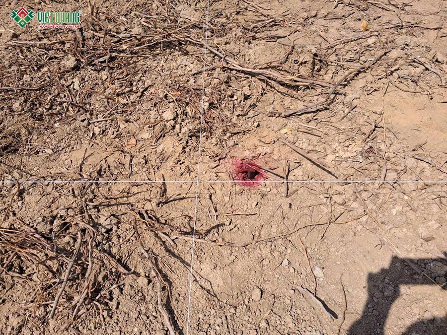 Thi công biệt thự mái Nhật 8x14m